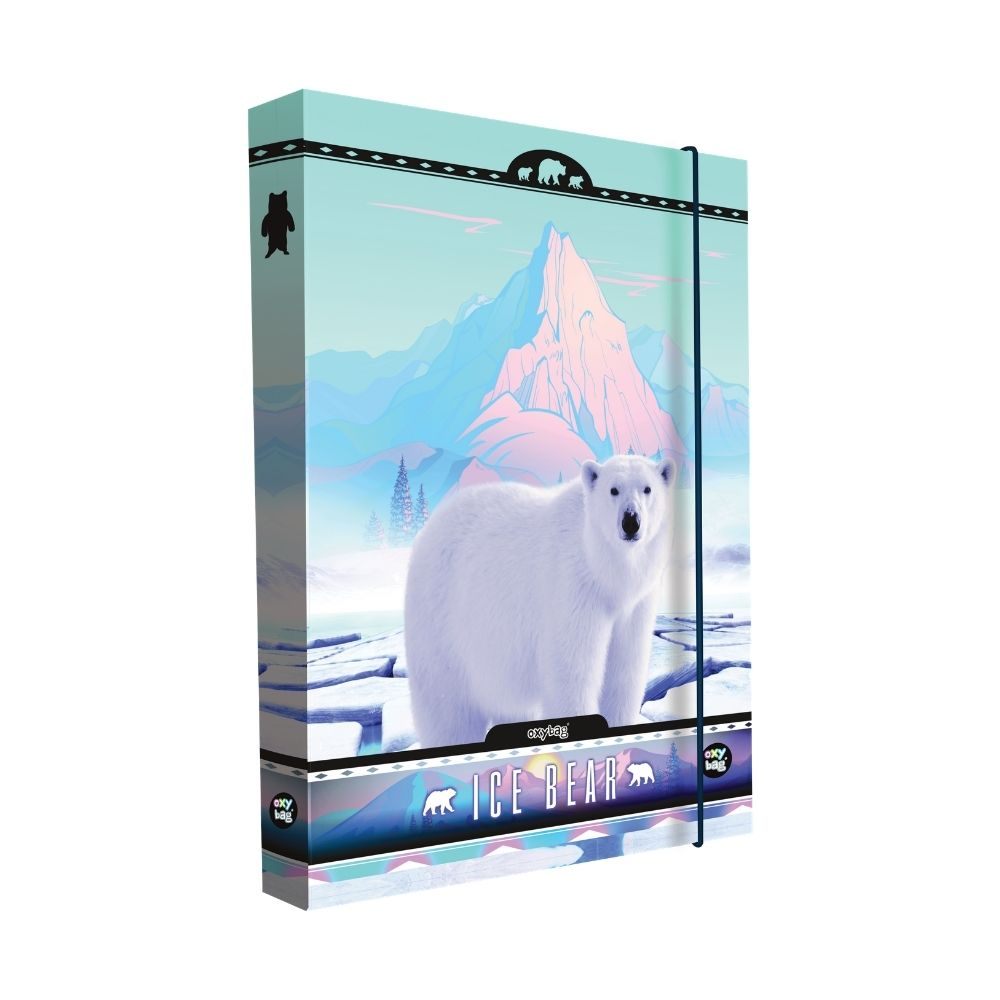 Box na sešity A4 Jumbo Bear